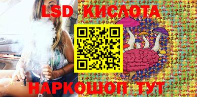spice Кимры
