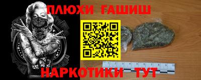 не бодяженный Кингисепп