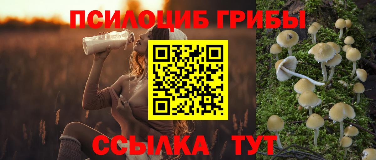 Псилоцибиновые грибы Cubensis  Псилоцибиновые грибы Psilocybe  Сургут 
