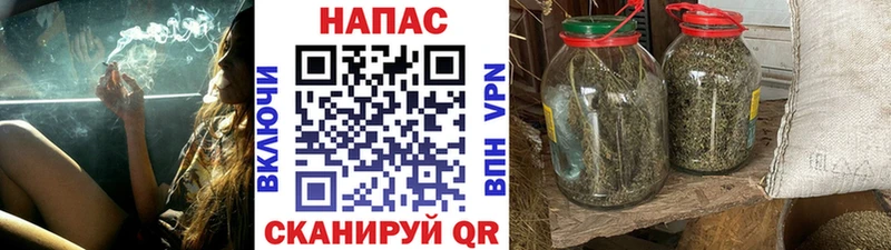 Марихуана сатива  Сургут 